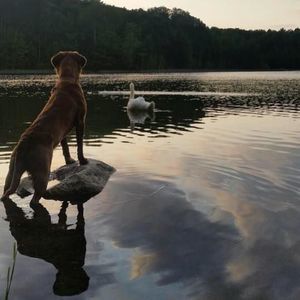 Meet your Posher, Kody